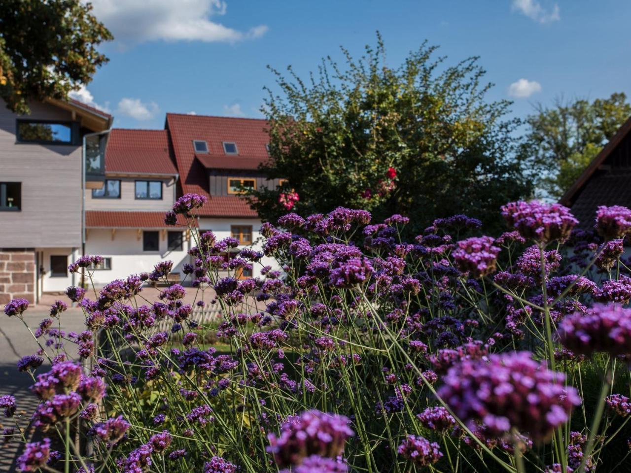 Saunaloft Schwarzwald Gemeinde Gemeinde Aichhalden Eksteriør bilde