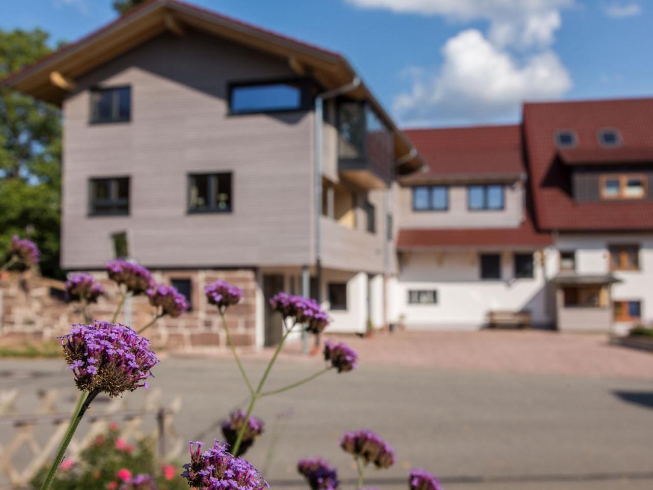Saunaloft Schwarzwald Gemeinde Gemeinde Aichhalden Eksteriør bilde